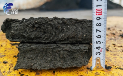 環(huán)保造紙廠工業(yè)污泥脫水用什么藥劑？-青島仕駿