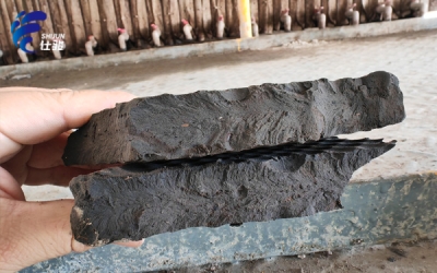 造紙廠生化污泥脫水可以使用什么調理劑-青島仕駿