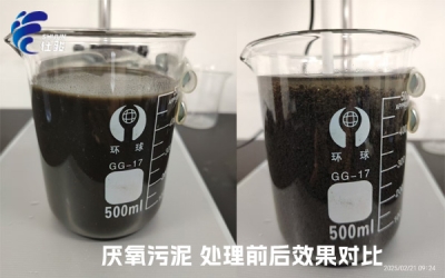 污泥增效劑：激活厭氧污泥潛能，重塑資源化新格局-青島仕駿