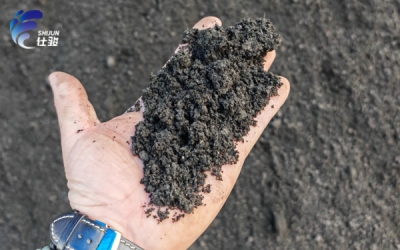 見(jiàn)證污泥處理的蛻變-青島仕駿