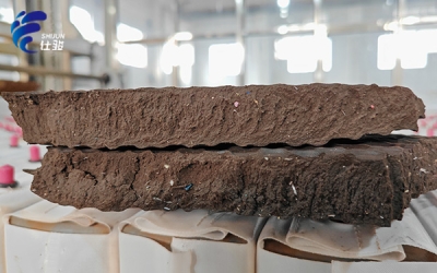 污泥增效劑：開(kāi)啟污泥處理高效新時(shí)代-青島仕駿