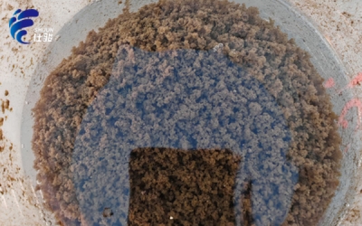 污泥增效劑:顯著降低污泥含水率的“秘密武器”-青島仕駿