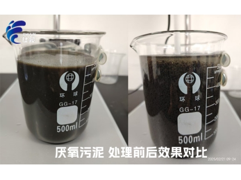 污泥增效劑：激活厭氧污泥潛能，重塑資源化新格局-青島仕駿