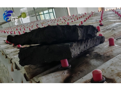 造紙污泥處理，脫水藥劑的選型難點有哪些？-青島仕駿