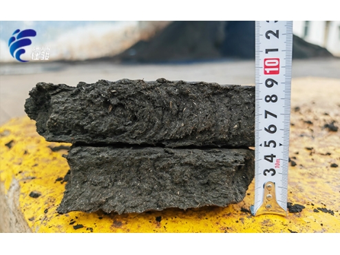 造紙污泥粘黏濾布且壓泥不成型的藥劑匹配解決方案-青島仕駿